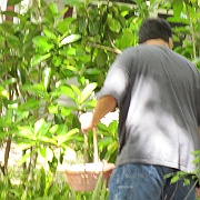 Picture 020